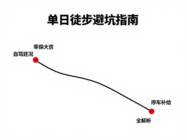 自驾停车策略与周边交通状况