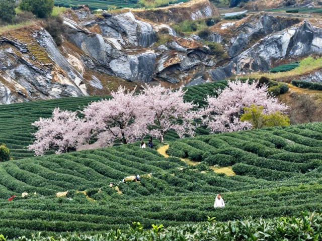 浙北丘陵的废弃矿坑与茶园秘境:安吉余村周边支线