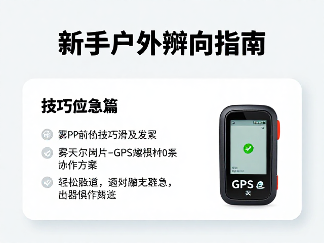 应急避险策略与团队协作规范