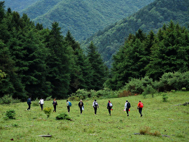 秦岭腹地穿越:原始森林与高山草甸的自然交响