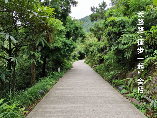 风景名胜区步道:视觉与感官的沉浸体验