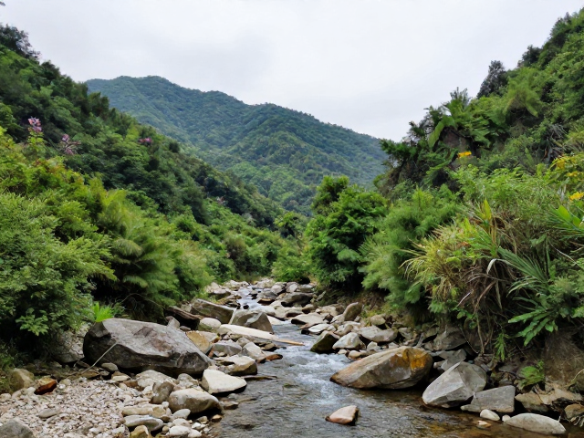 浅山溪谷的自然疗愈:路线体验