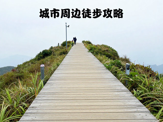 路线规划与安全常识