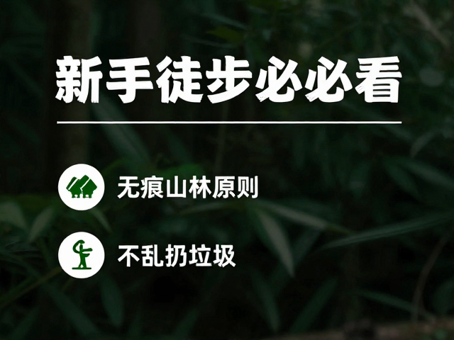 安全指南与风险规避