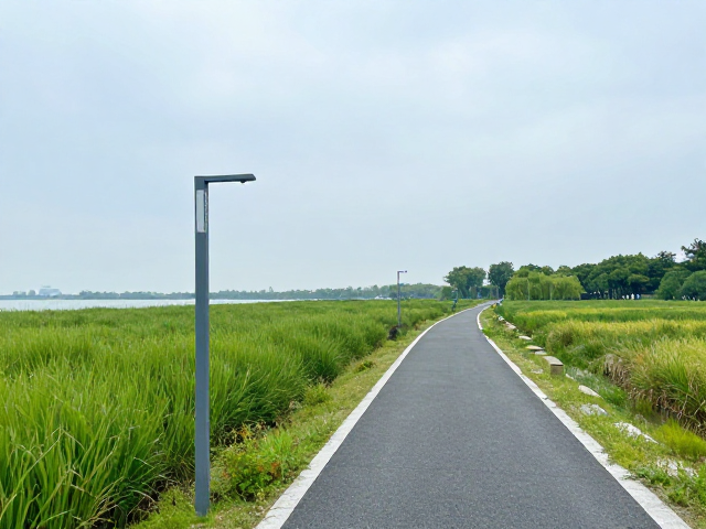 上海青浦淀山湖环湖步道:湿地生态的静谧之旅