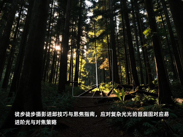 应对复杂光比与对焦策略