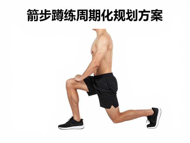 箭步蹲纠正膝关节不稳,体能训练周期化规划方案