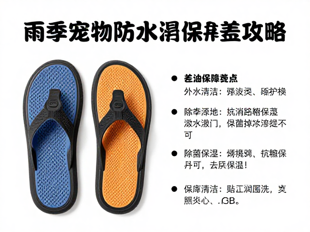 深度清洁与除菌去异味的科学方法