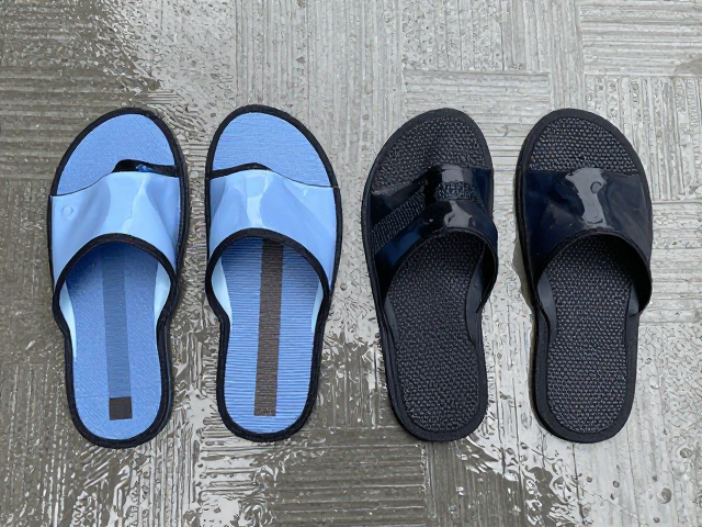 雨季宠物装备防滑防水保养,除菌去异味全攻略