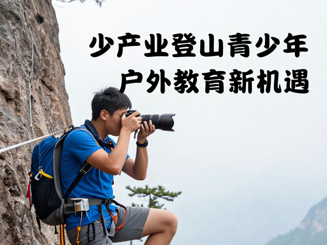 安全规范与专业资质的核心地位