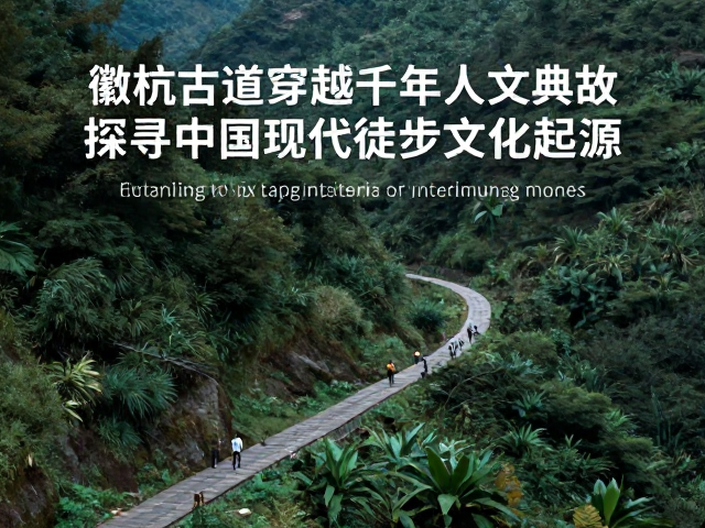 现代徒步文化的社会影响
