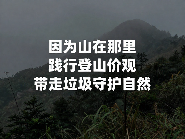 践行价值观:无痕山林的行为准则