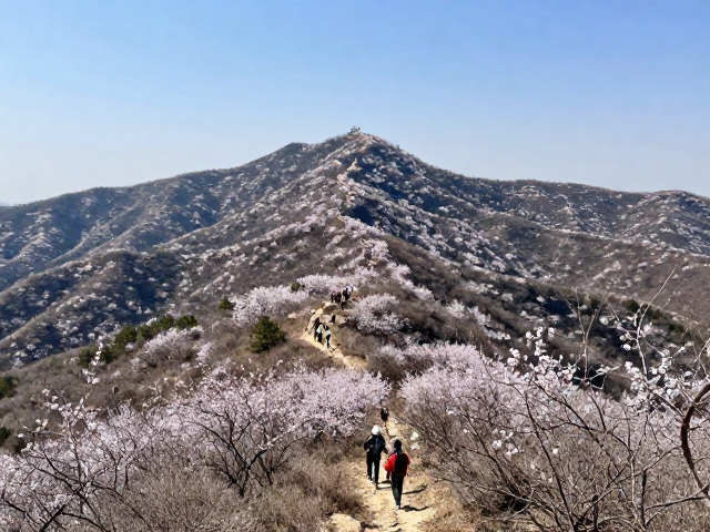 华北地区硬核挑战路线:北京香山至妙峰山穿越线