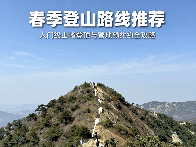 路线规划与导航技巧