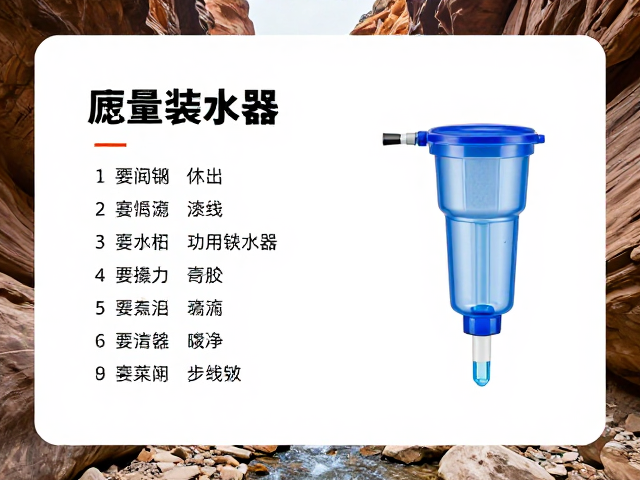 滤水器在峡谷水源处理中的关键作用