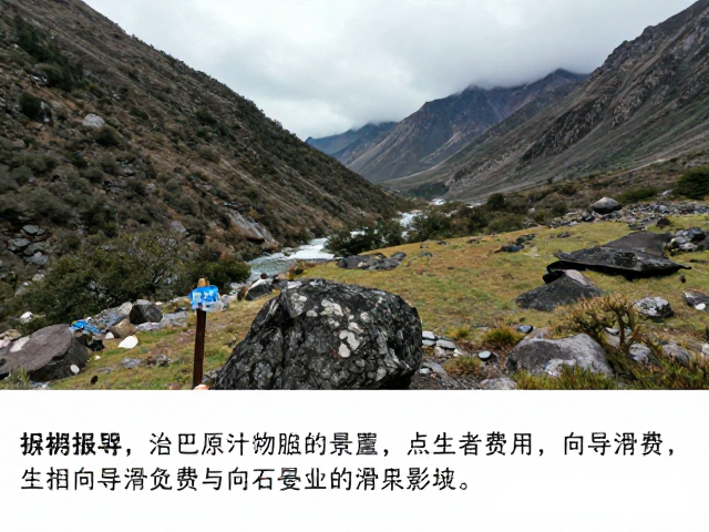 向导服务费用与雇佣细节