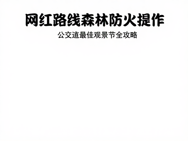 网红路线森林防火规定,公共交通直达最佳观景季节全攻略