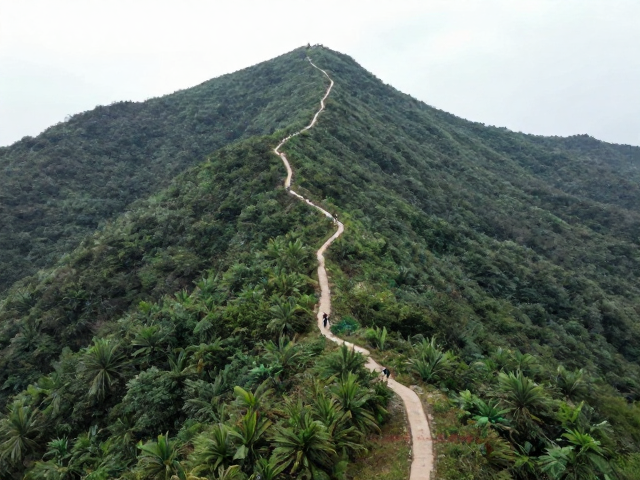 进山前轨迹备份防迷路,偏离路线选背风处停留