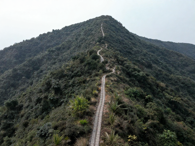 偏离路线选背风处停留