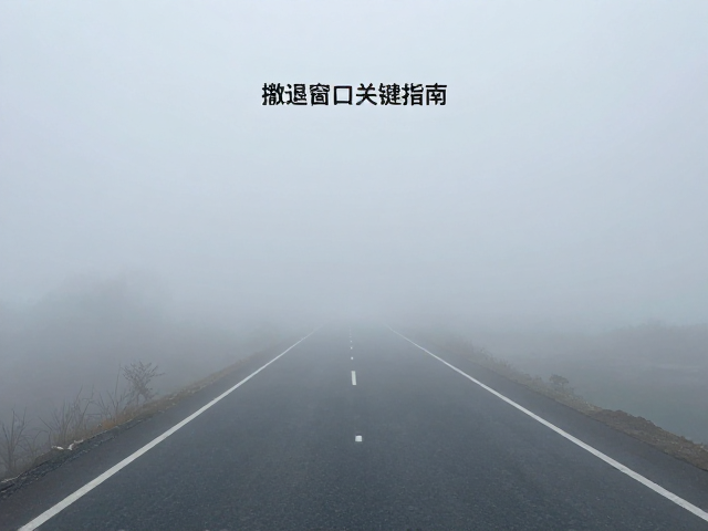 撤退窗口的判定标准与动态监测机制