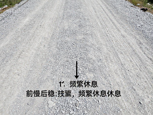 频繁休息的科学时机与要点