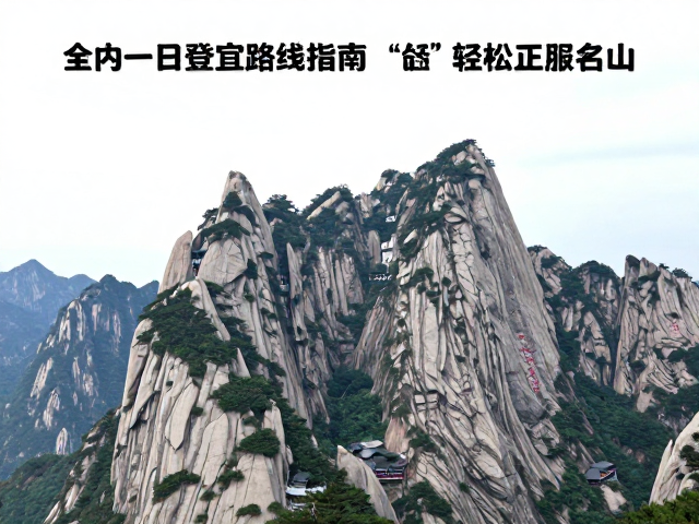 华东区域:低海拔与高互动的平衡