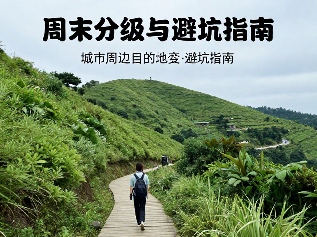 核心路线解析与场景适配