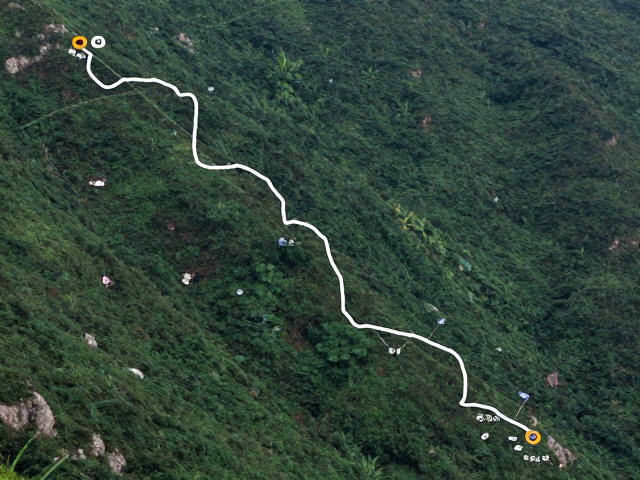 常见路面类型对行进策略的影响
