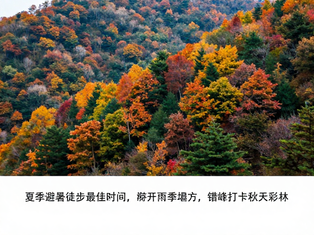 夏季避暑徒步最佳时间,避开雨季塌方,错峰打卡秋季彩林