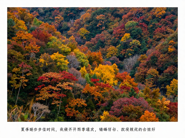 九月下旬至十月:彩林初现与最佳观赏期