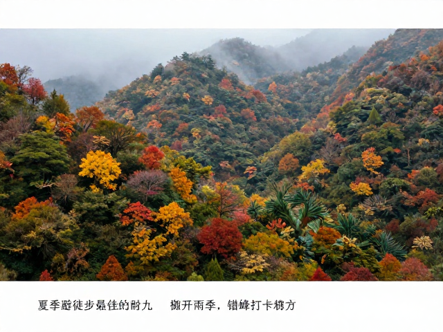 八月至九月:错峰应对雨季与人流高峰