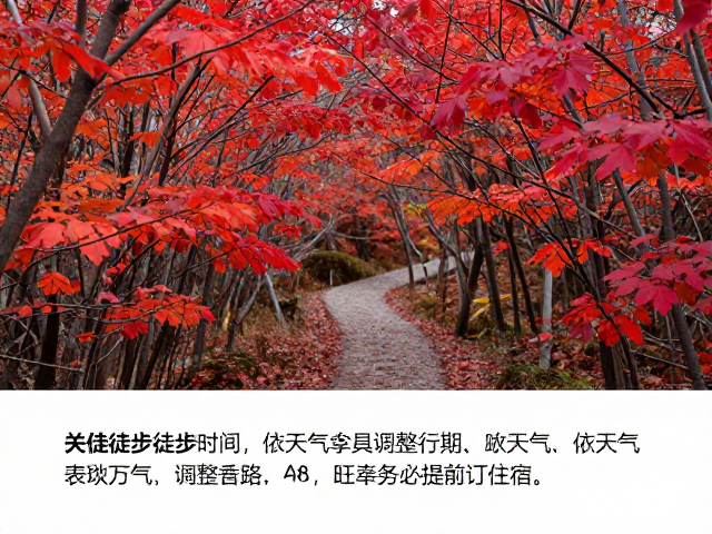 徒步路线选择与体力分配策略