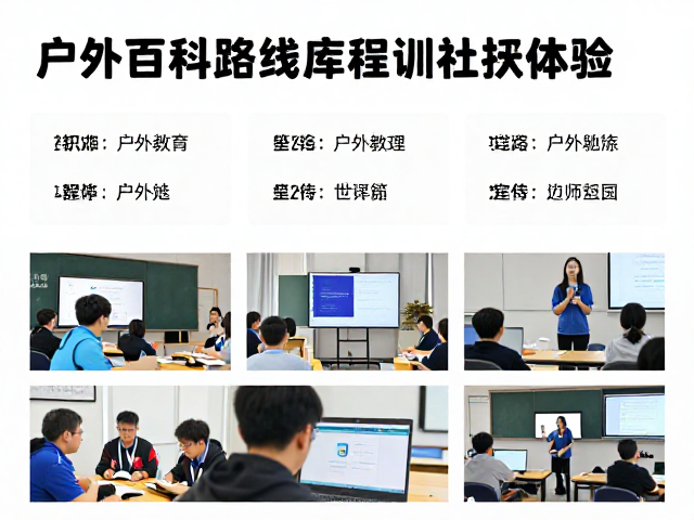 专业培训:从理论认知到实战能力的系统转化