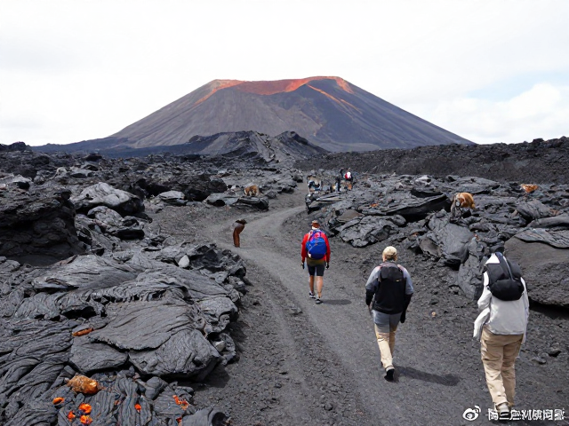 火山生态系统的野生动物栖息地观察