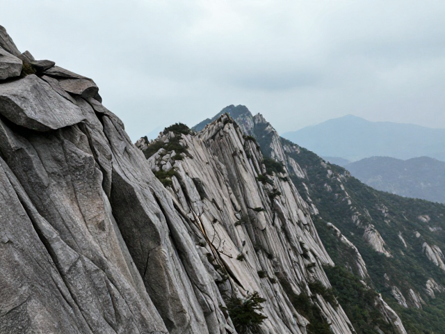 高山环境的脆弱性与保护实践