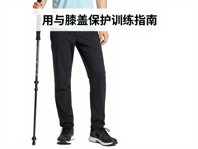膝盖保护的核心肌群训练体系