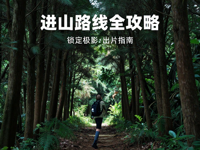 尊重自然与可持续拍摄