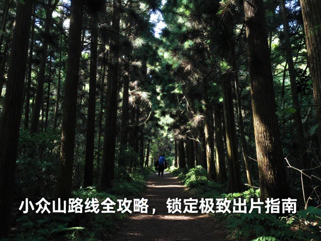 构图技巧与视觉引导