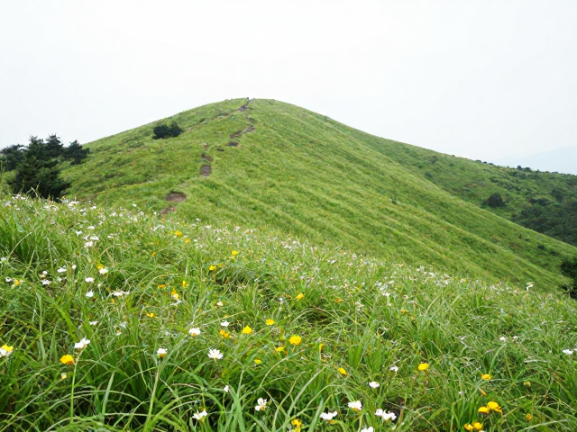 莫干山徒步攻略,浙江高海拔草甸花海探秘指南