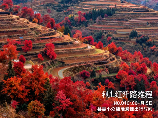 西南山区梯田红叶景观