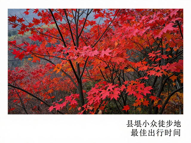 秦岭北麓深山秘境行