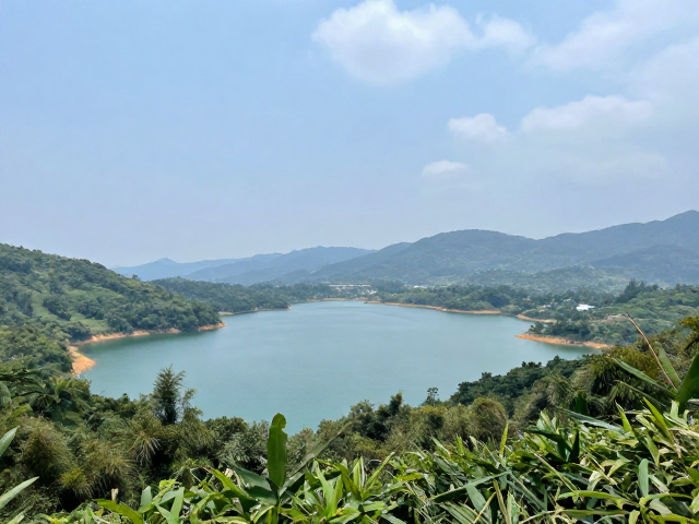 梧桐山片区:红马岭与茶园补给点