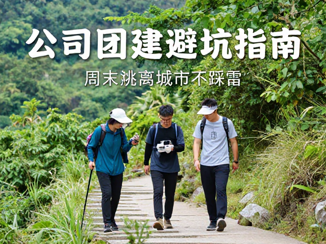 安全与协作:小团队的高效运转机制