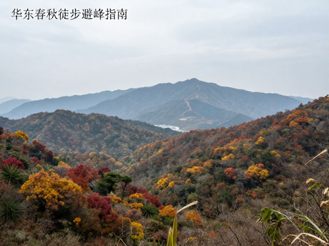 春秋两季湿度变化下的最佳出行时段