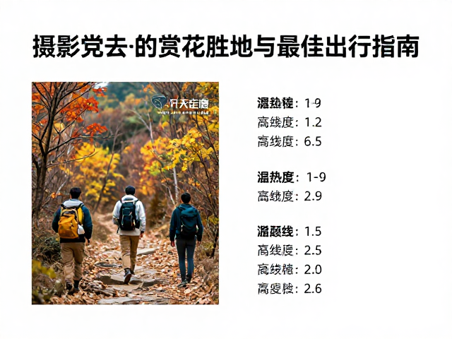 秋季摄影装备与参数设置实战指南