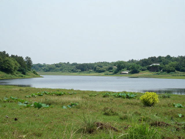 夏季避暑小众徒步,湖泊湿地秘境攻略与住宿节点全解析