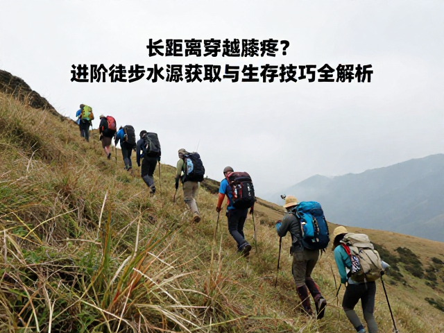 进阶生存技巧与风险管控