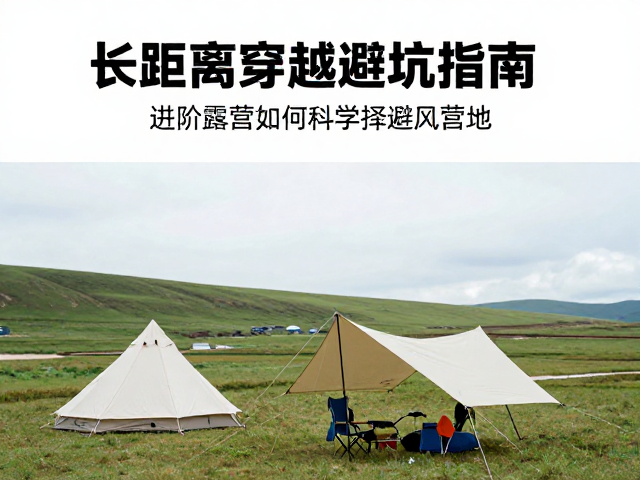 动态应对与应急处理