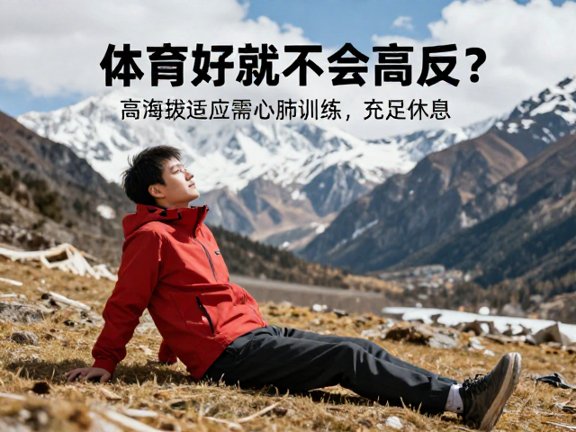 休息与恢复：不可忽视的基石