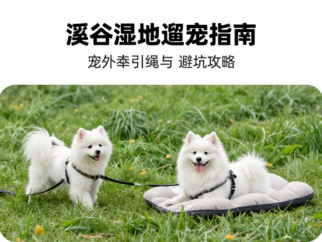 场景适配与行为引导的实用技巧